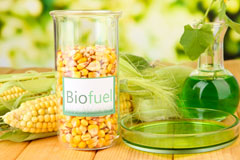 Costa biofuel availability
