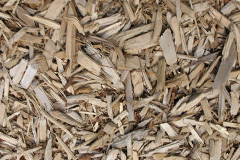 biomass boilers Costa